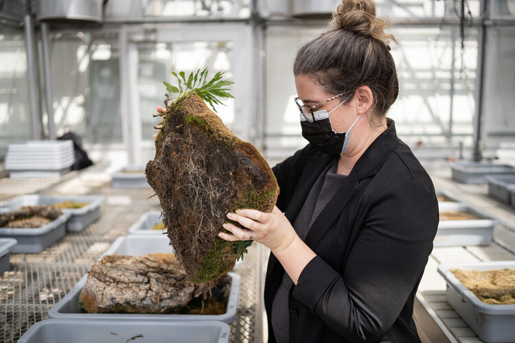 A students examining soil in a lab