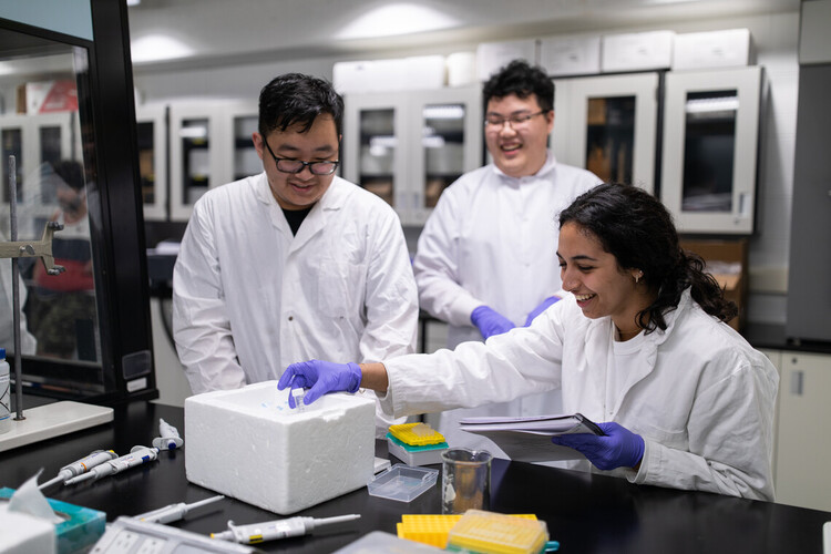 Three people working in a lab